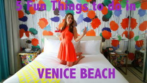 fun things to do in Venice Beach, cA