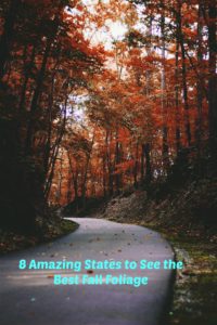 8 amazing states to see the fall foliage