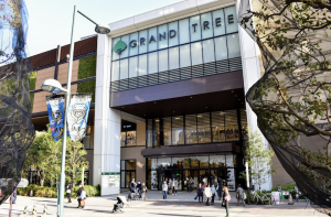 Why-I-Fell-in-Love-With-GRAND-TREE-Shopping-Mall