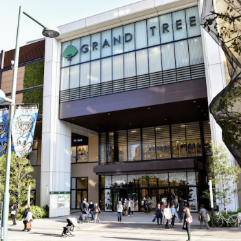 Why I Fell in Love With GRAND TREE Shopping Mall