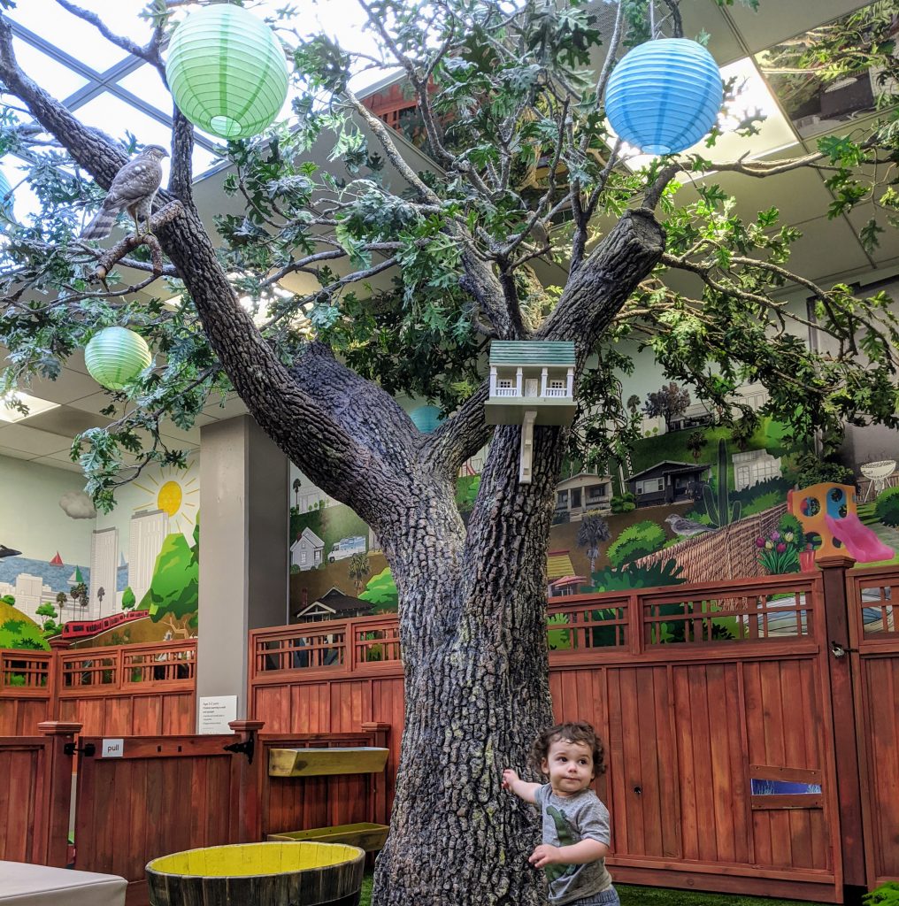 cute-boy-san-diego-natural-history-museum