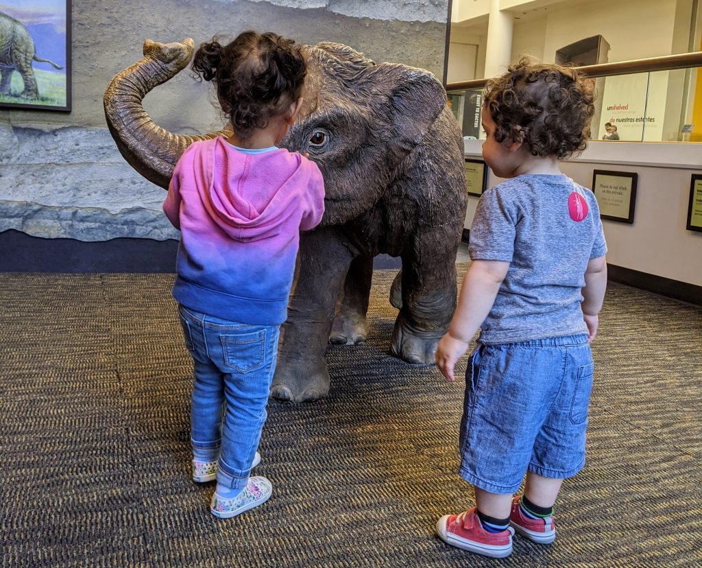 woolly-mammoth-museum