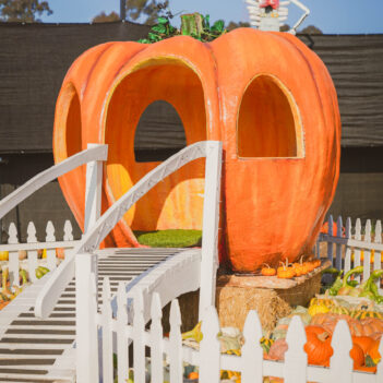 Top Family Pumpkin Patches and Halloween Activities in Los Angeles