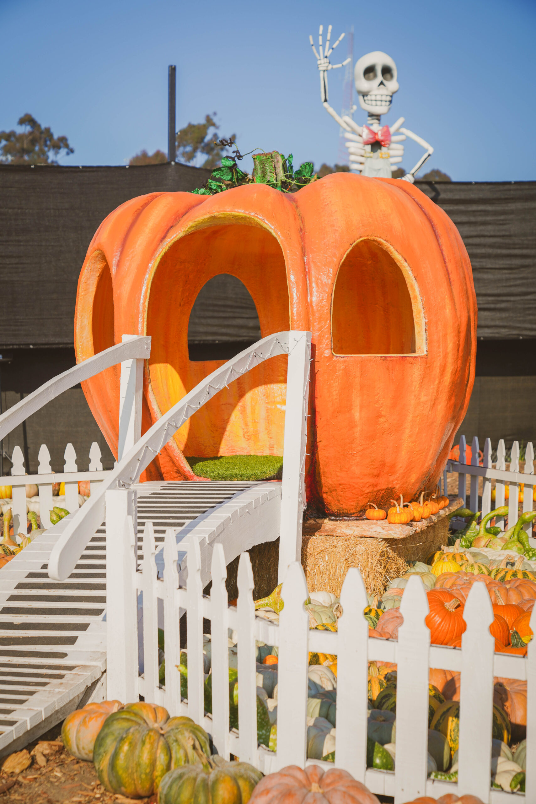 Top Family Pumpkin Patches and Halloween Activities in Los Angeles